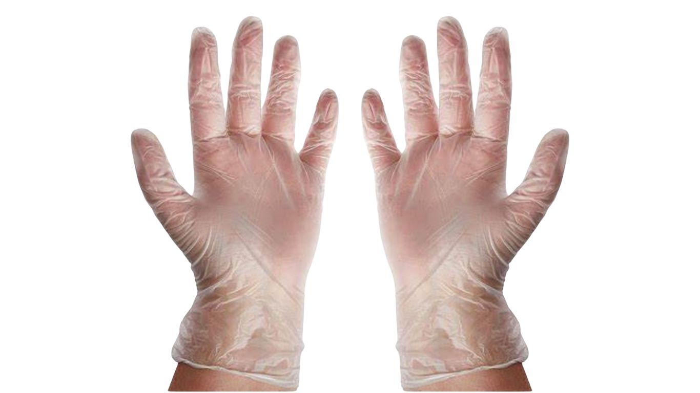 Vinyl Gloves Powder free