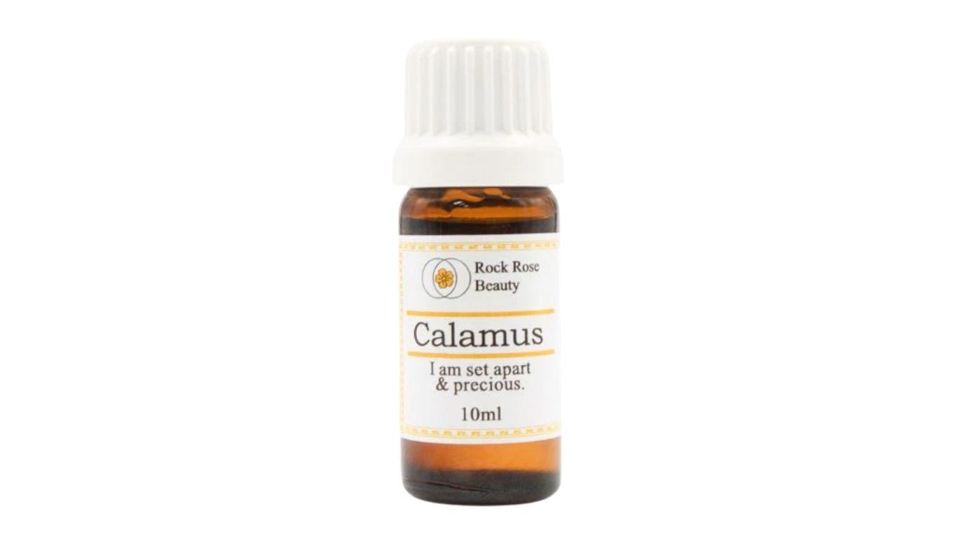 Calamus Oil 10ml