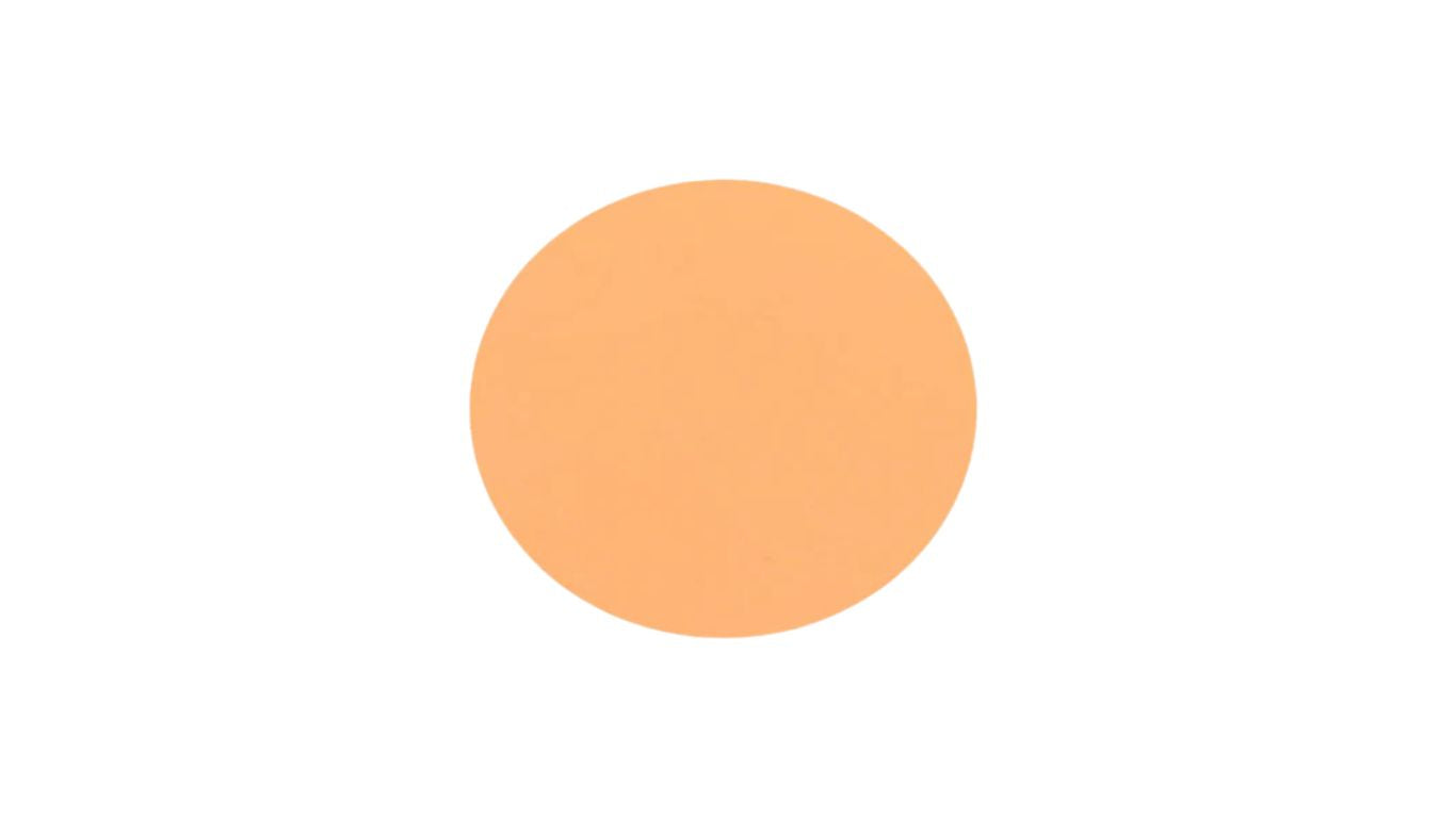 Foundation / Concealer 3g