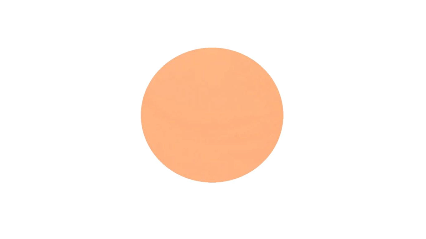 Foundation / Concealer 3g