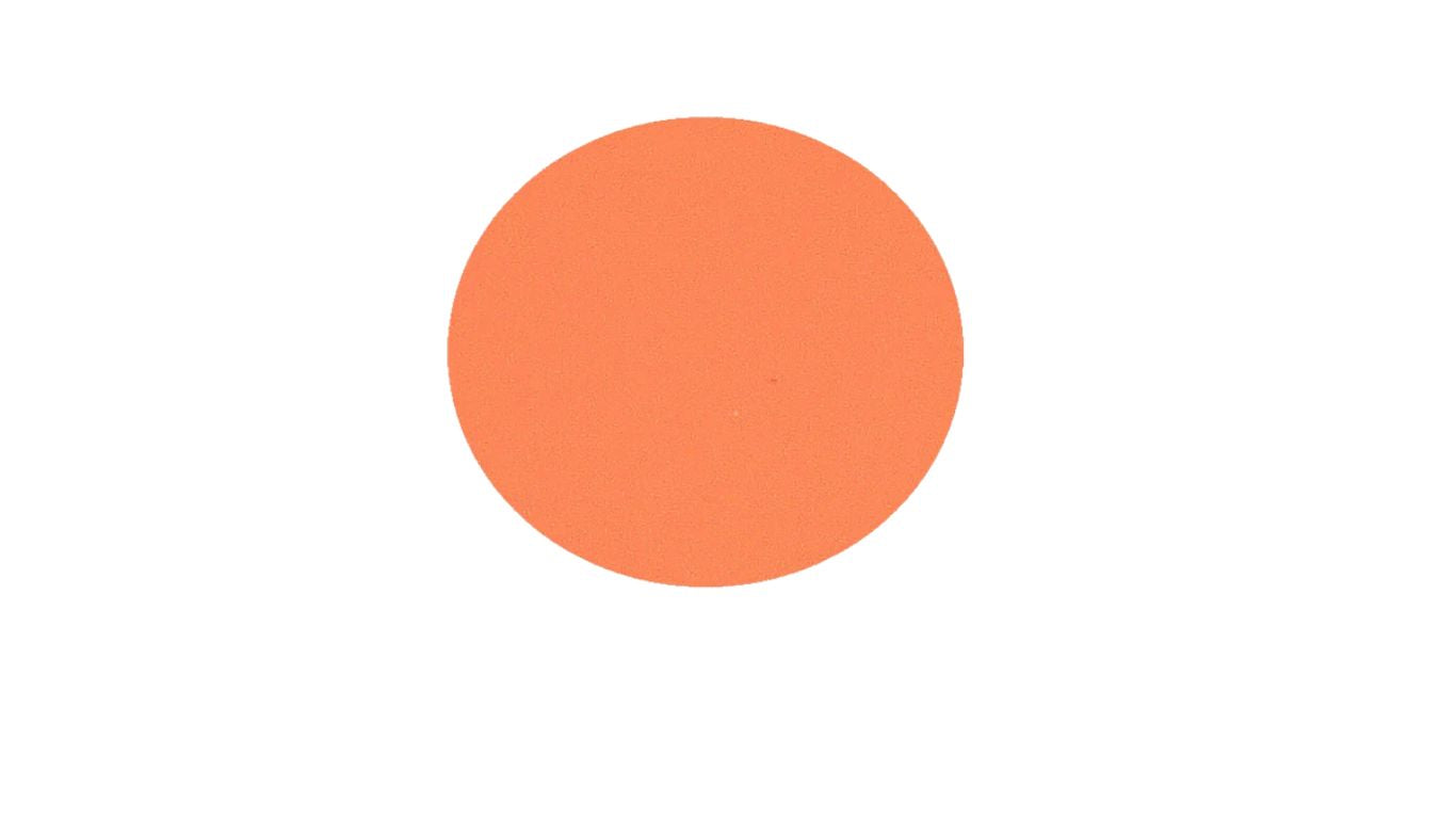 Concealer 3g